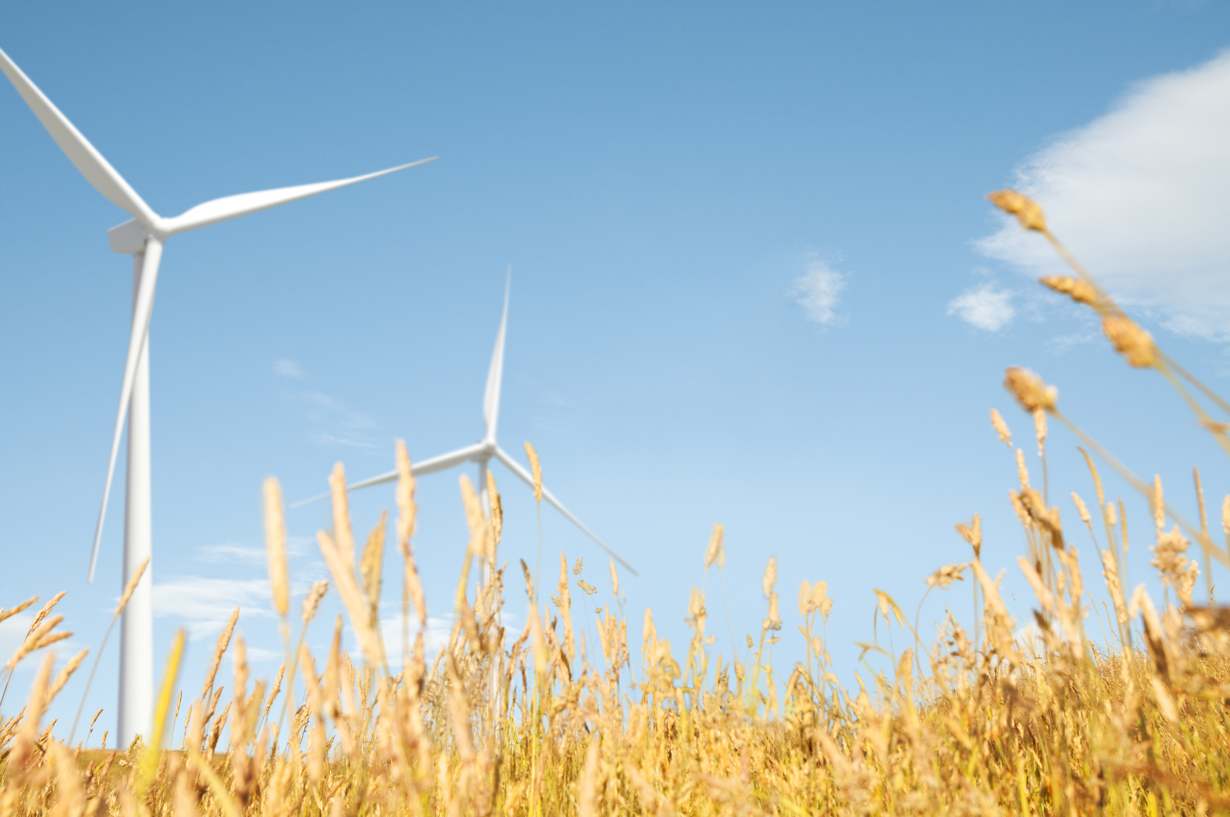 Windmill Grassland Field Hill Natural Scenics Concept