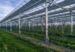 Agri PV A73 (3)