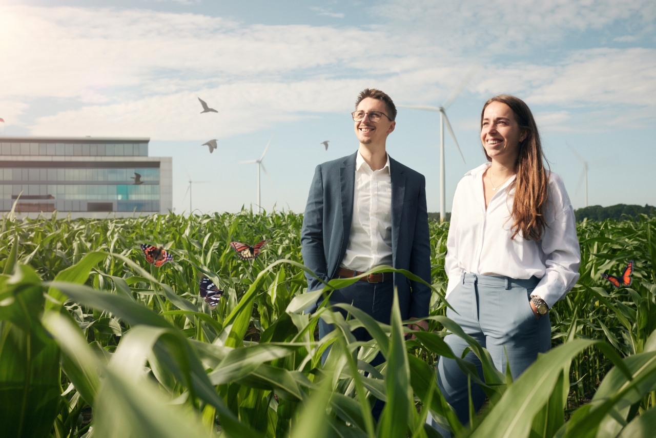 Scholt Energy Belgie 13 12 194638