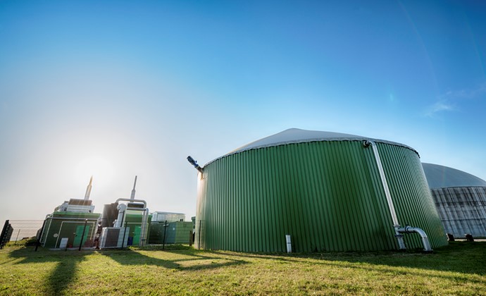Scholt Energy und EcoFuels setzen Biogasanlage für nachhaltigeren Stromnetzausgleich ein