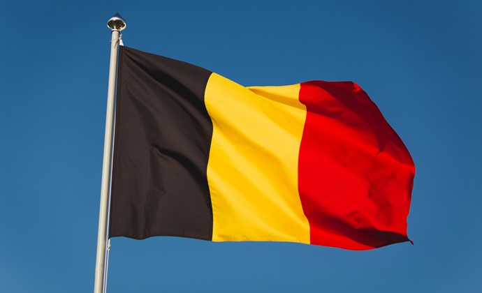 flag belgium